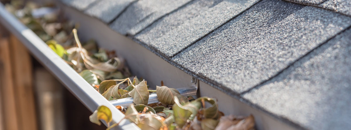 gutter filled with leaves shows signs of seasonal change and maintenance required for proper drainage and roof protection
